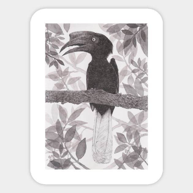 SULU HORNBILL Sticker by Rizal Rog Art